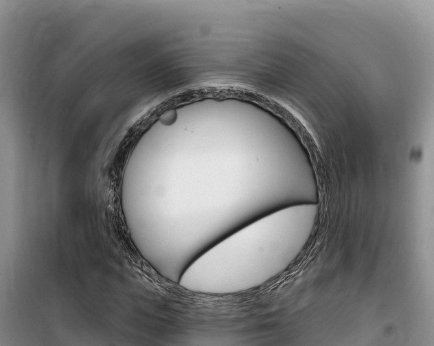 X0000100200823200805300745