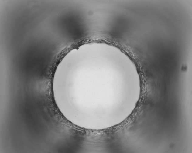 X0000100200824200805300745