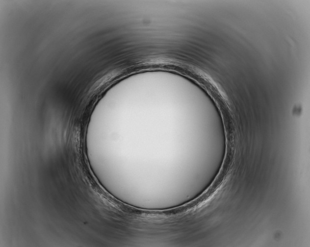 X0000100200825200805300745