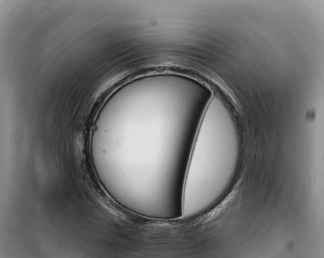 X0000100200826200805300745