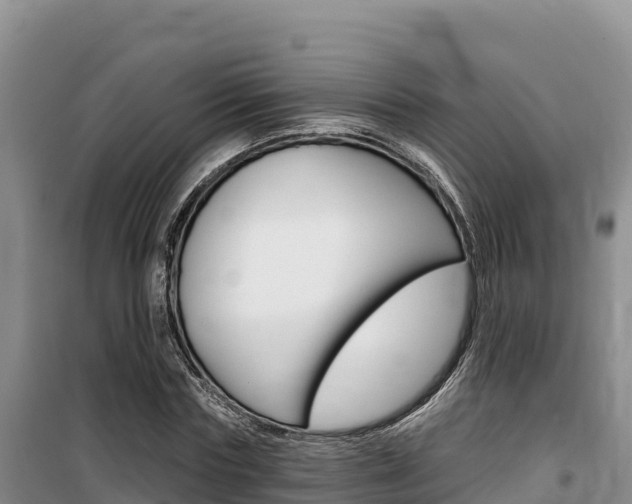 X0000100200827200805300745