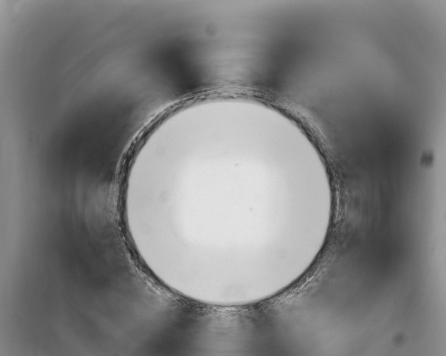 X0000100200828200805300745