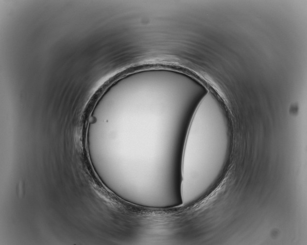 X0000100200830200805300745
