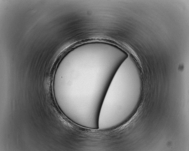 X0000100200831200805300745