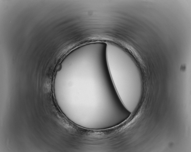 X0000100200833200805300745
