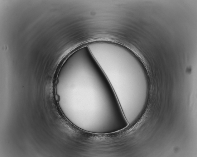 X0000100200834200805300745