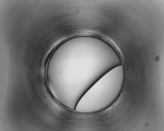 X0000100200835200805300745
