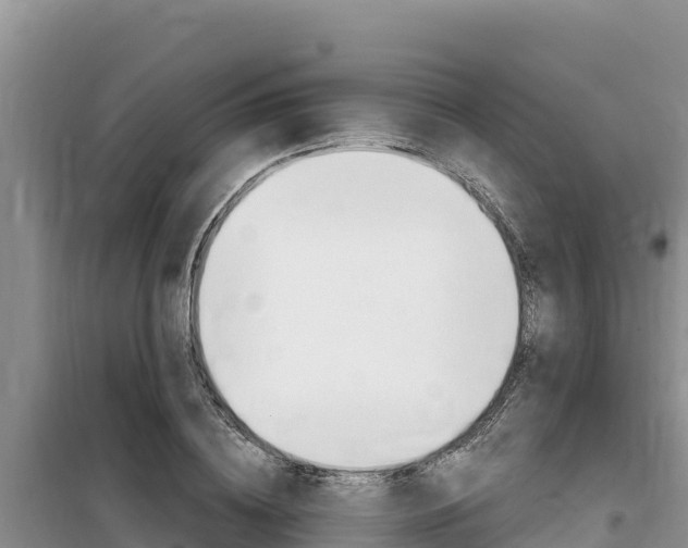 X0000100200836200805300745