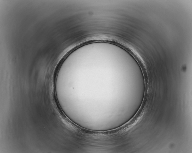 X0000100200837200805300745