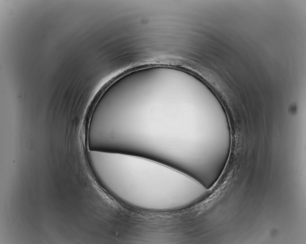 X0000100200838200805300745