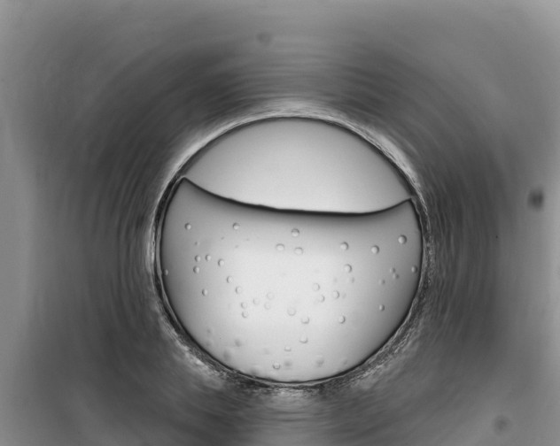 X0000100200839200805300745