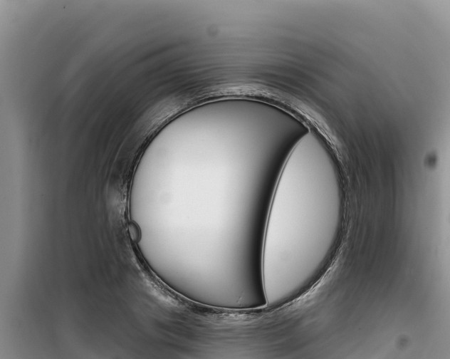 X0000100200841200805300745