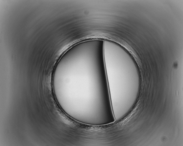 X0000100200842200805300745
