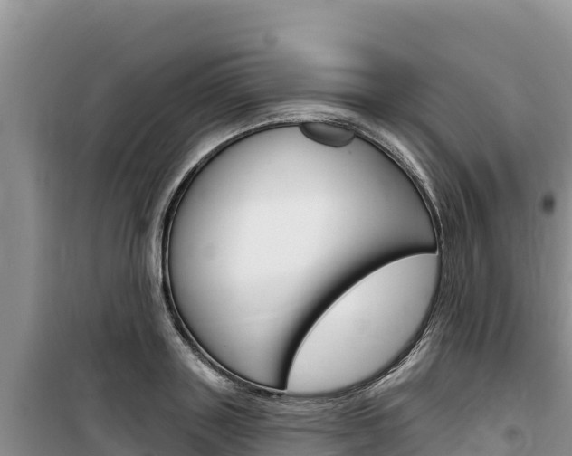 X0000100200843200805300745