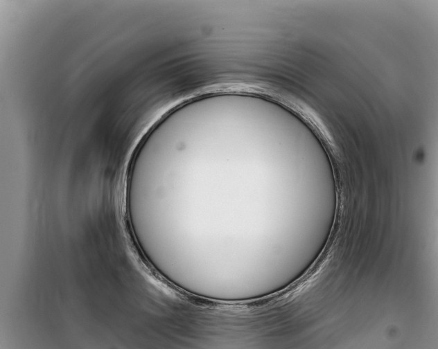 X0000100200844200805300745