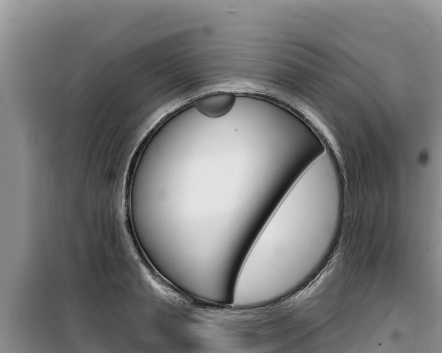 X0000100200845200805300745