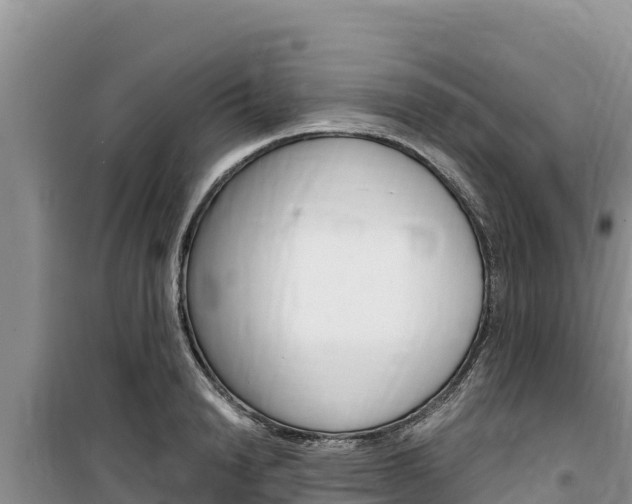 X0000100200846200805300745