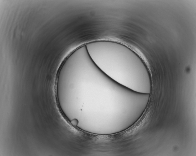 X0000100200847200805300745