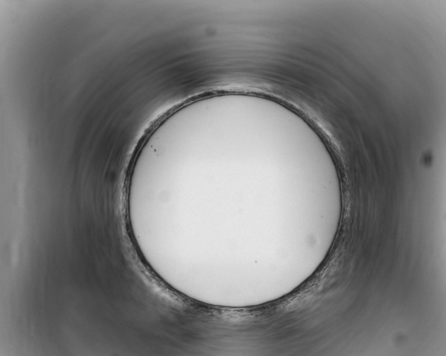 X0000100200848200805300745