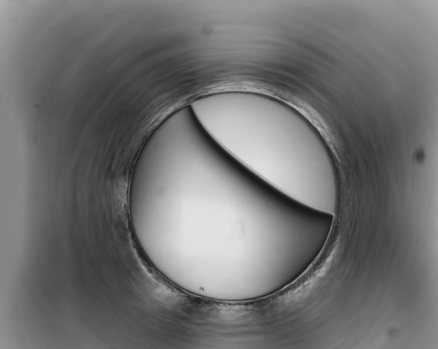 X0000100200849200805300745