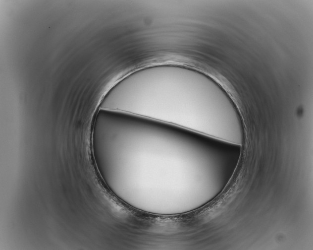 X0000100200850200805300745