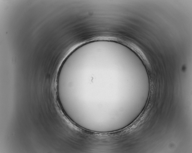 X0000100200852200805300745