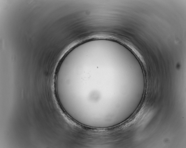 X0000100200853200805300745