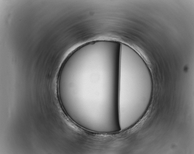 X0000100200854200805300745
