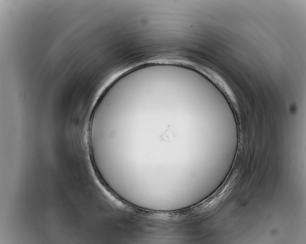 X0000100200855200805300745