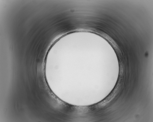 X0000100200856200805300745