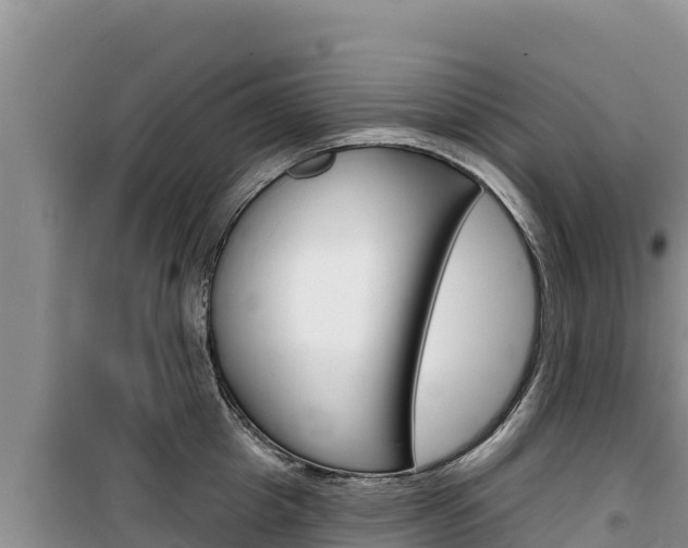 X0000100200857200805300745