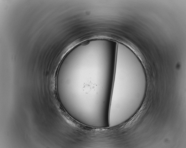 X0000100200858200805300745