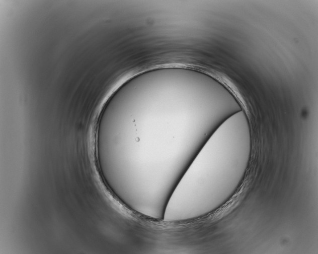 X0000100200859200805300745