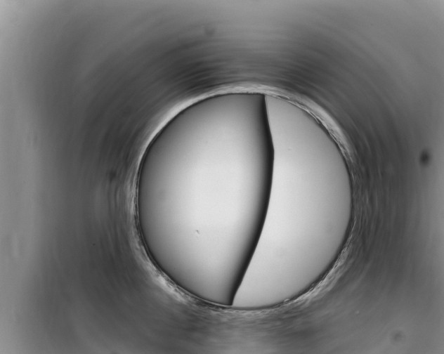 X0000100200860200805300745