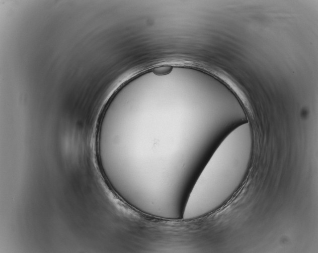 X0000100200861200805300746