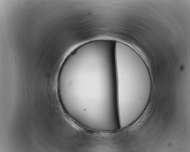 X0000100200862200805300746