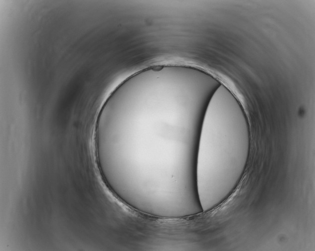 X0000100200863200805300746