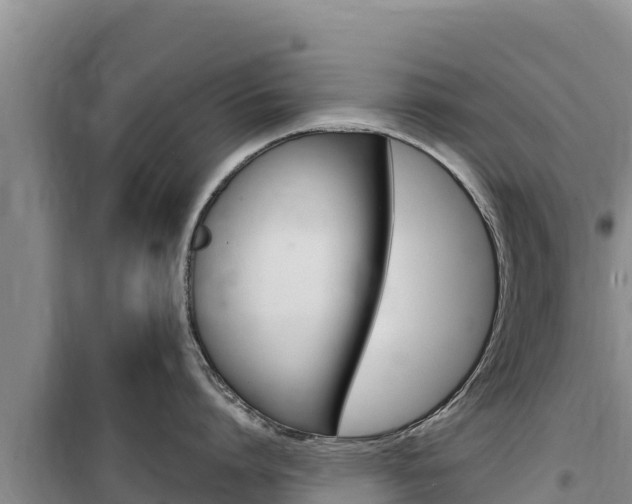 X0000100200864200805300746