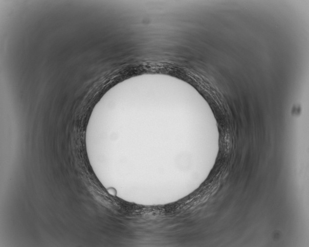 X0000100200865200805300745