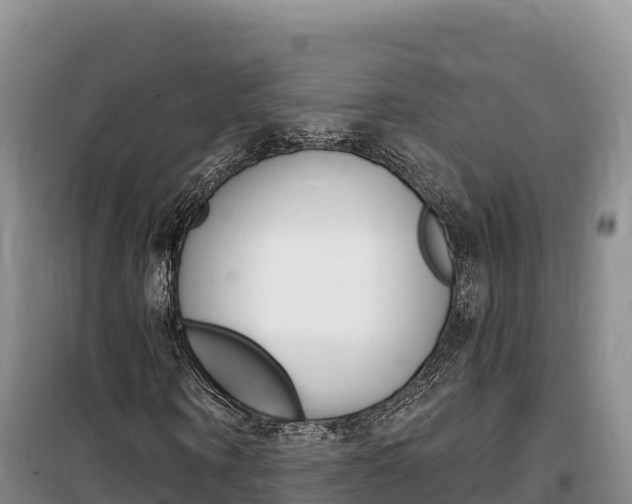 X0000100200866200805300745