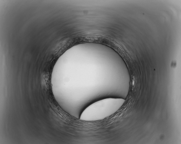 X0000100200867200805300745