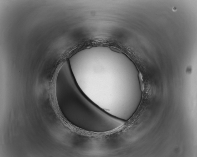 X0000100200868200805300745