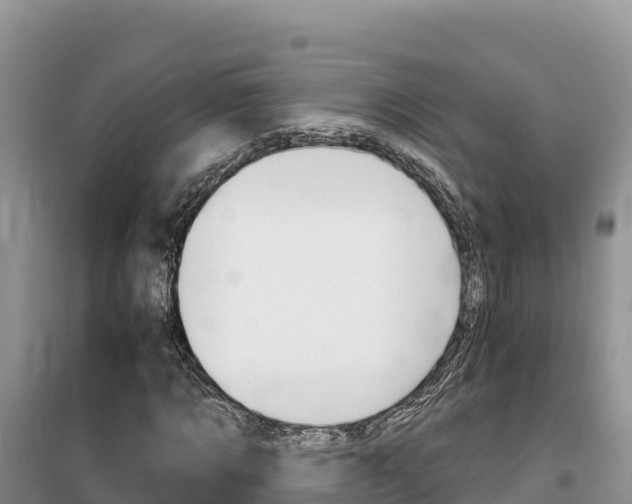 X0000100200869200805300745