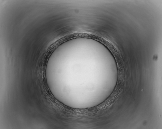 X0000100200870200805300745