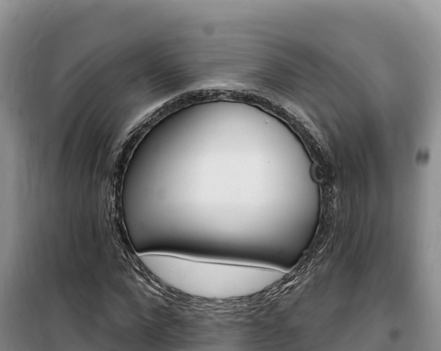 X0000100200872200805300745