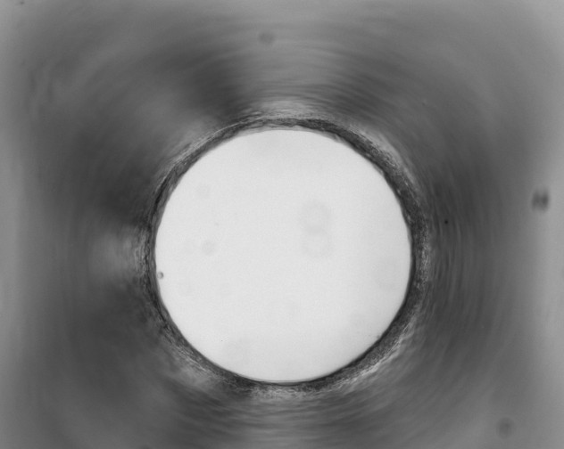 X0000100200873200805300745