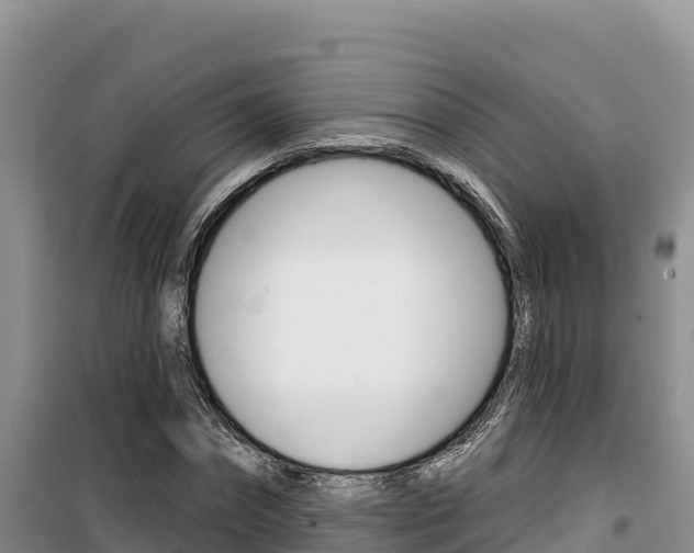 X0000100200874200805300745