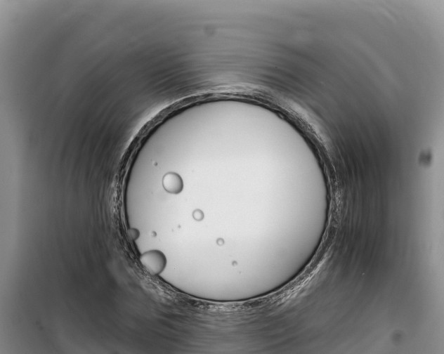 X0000100200875200805300745