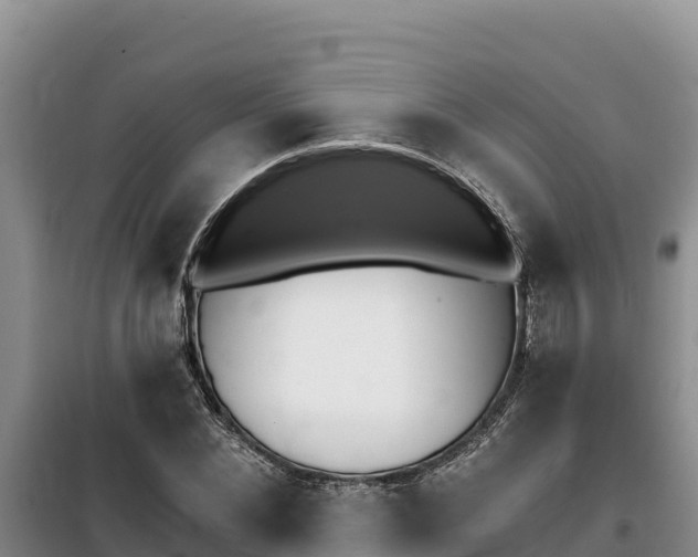 X0000100200876200805300745