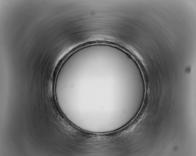 X0000100200877200805300745